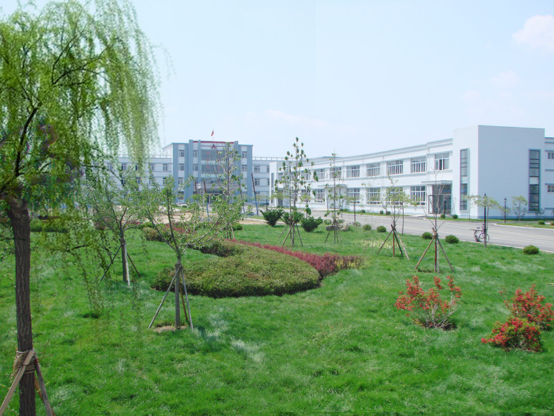 歡樂奧龍人，激昂青春夢(mèng)